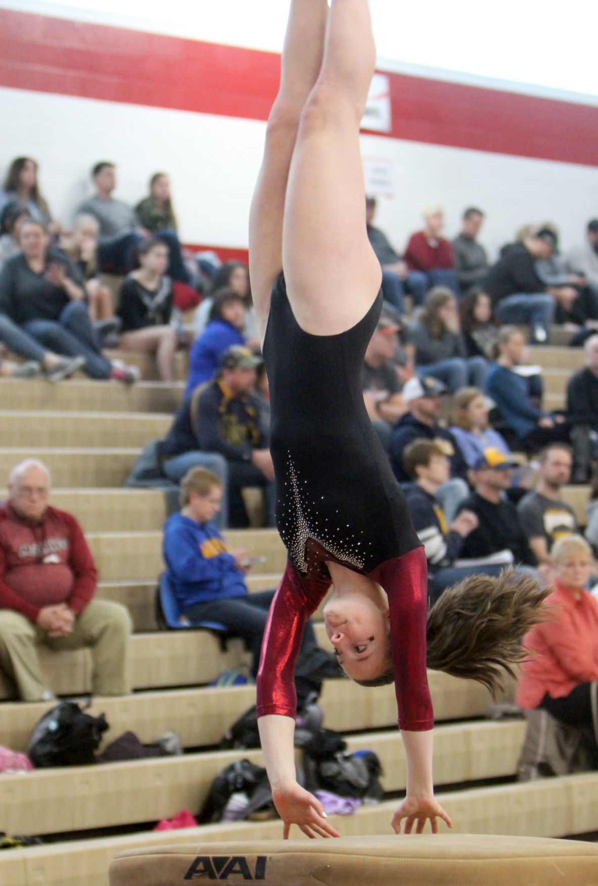Big Rivers Conference Gymnastics Meet at Chippewa Falls 2-16-19